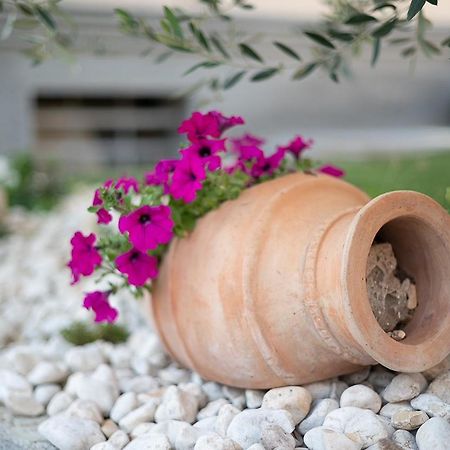 Domegliara La Casa Di Anna Green מראה חיצוני תמונה