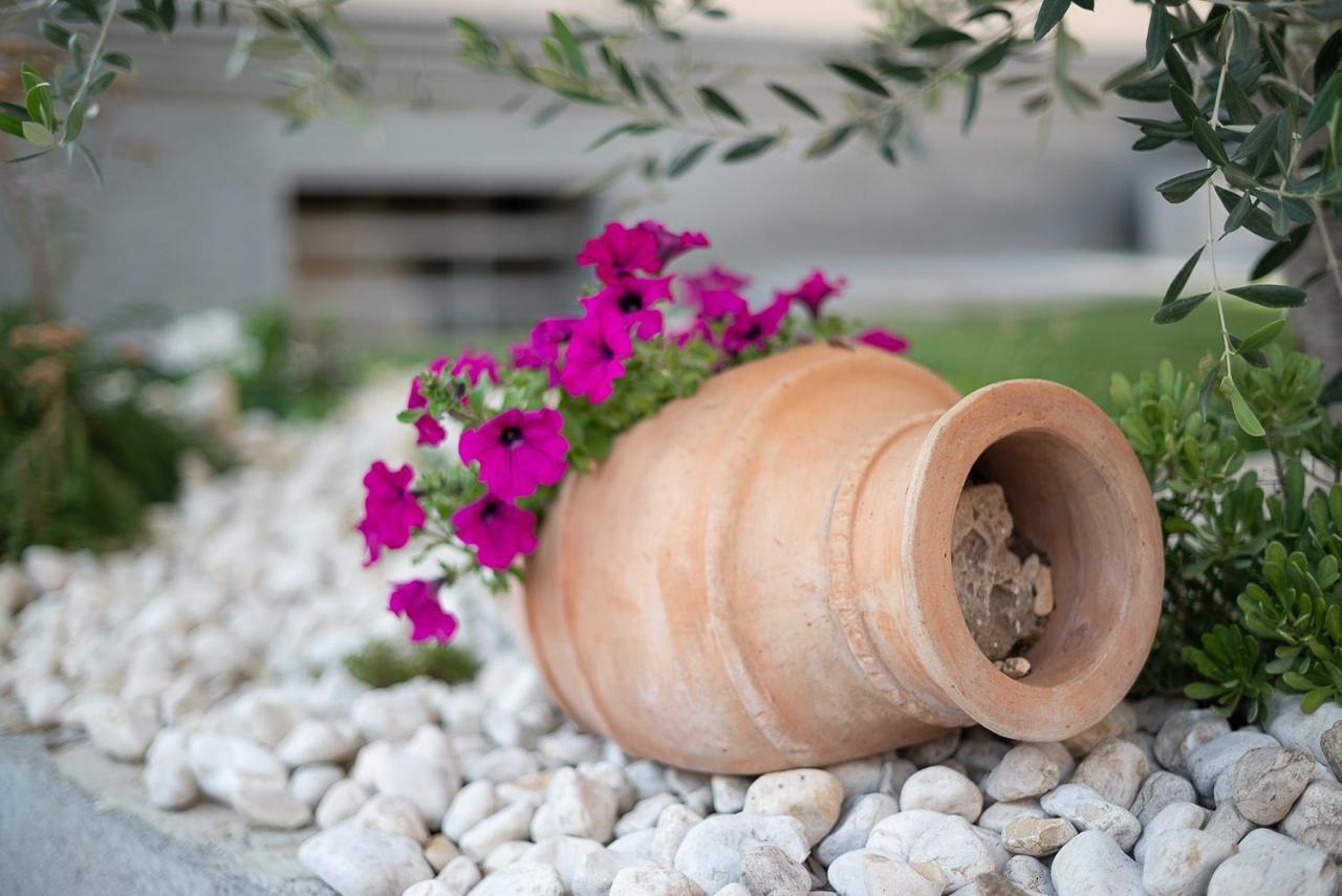Domegliara La Casa Di Anna Green מראה חיצוני תמונה